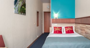 Standard Double Room with a double Bed
