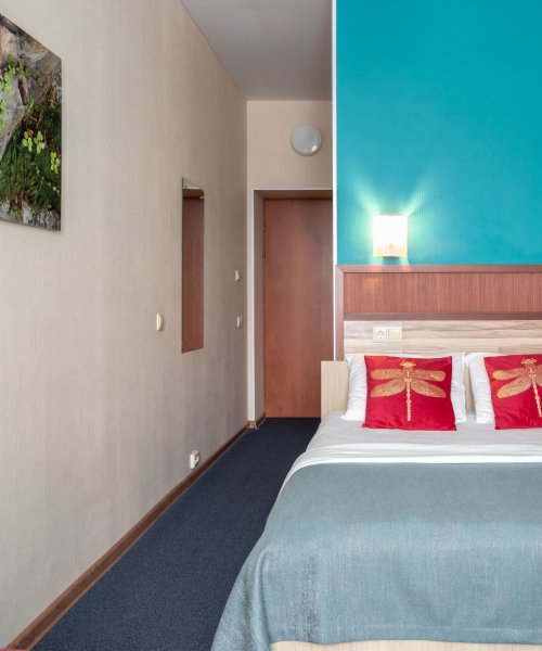 Standard Double Room with a double Bed