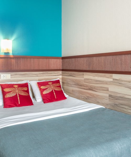 Standard Double Room with a double Bed